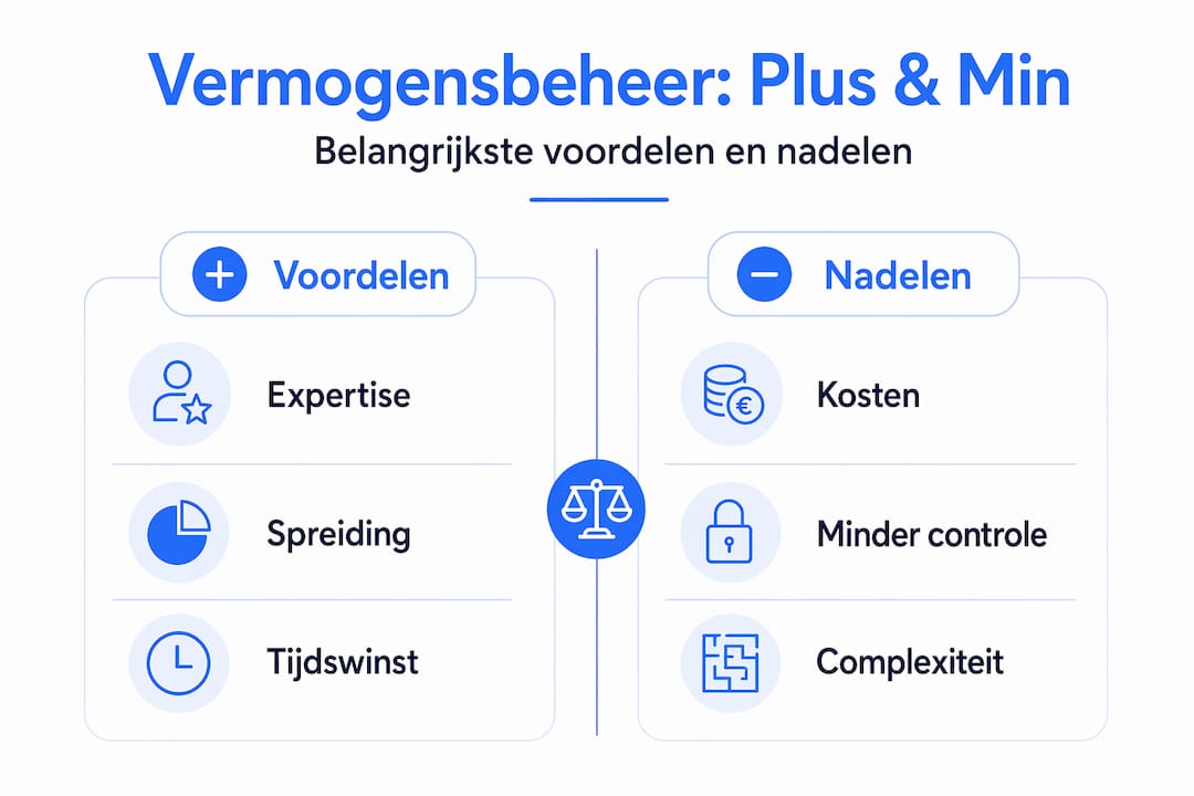 Overzichtelijke infographic: de plus- en minpunten van vermogensbeheer op een rij