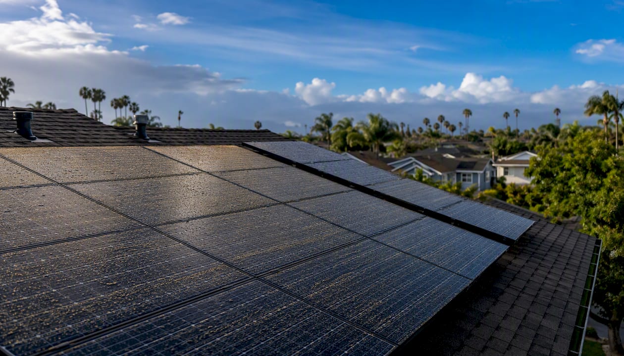 Solar panels showing pollen residue post-rain