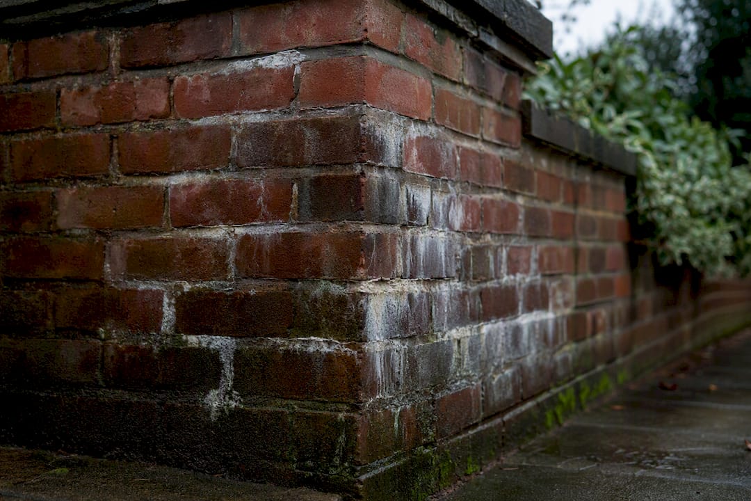 Damp brick corner with moisture and salt deposits