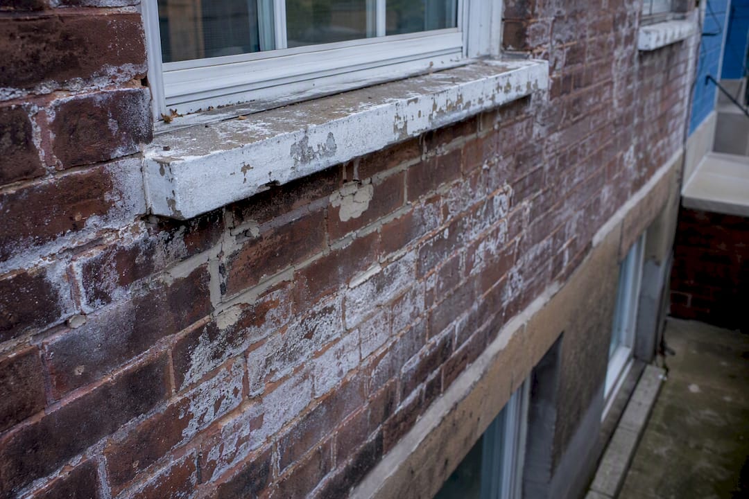 Damaged brick wall with efflorescence and spalling