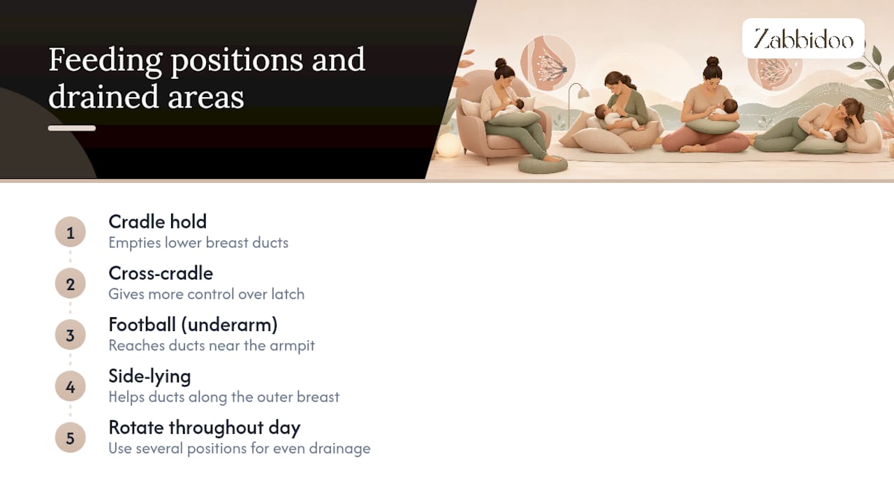 Four breastfeeding positions and drainage areas