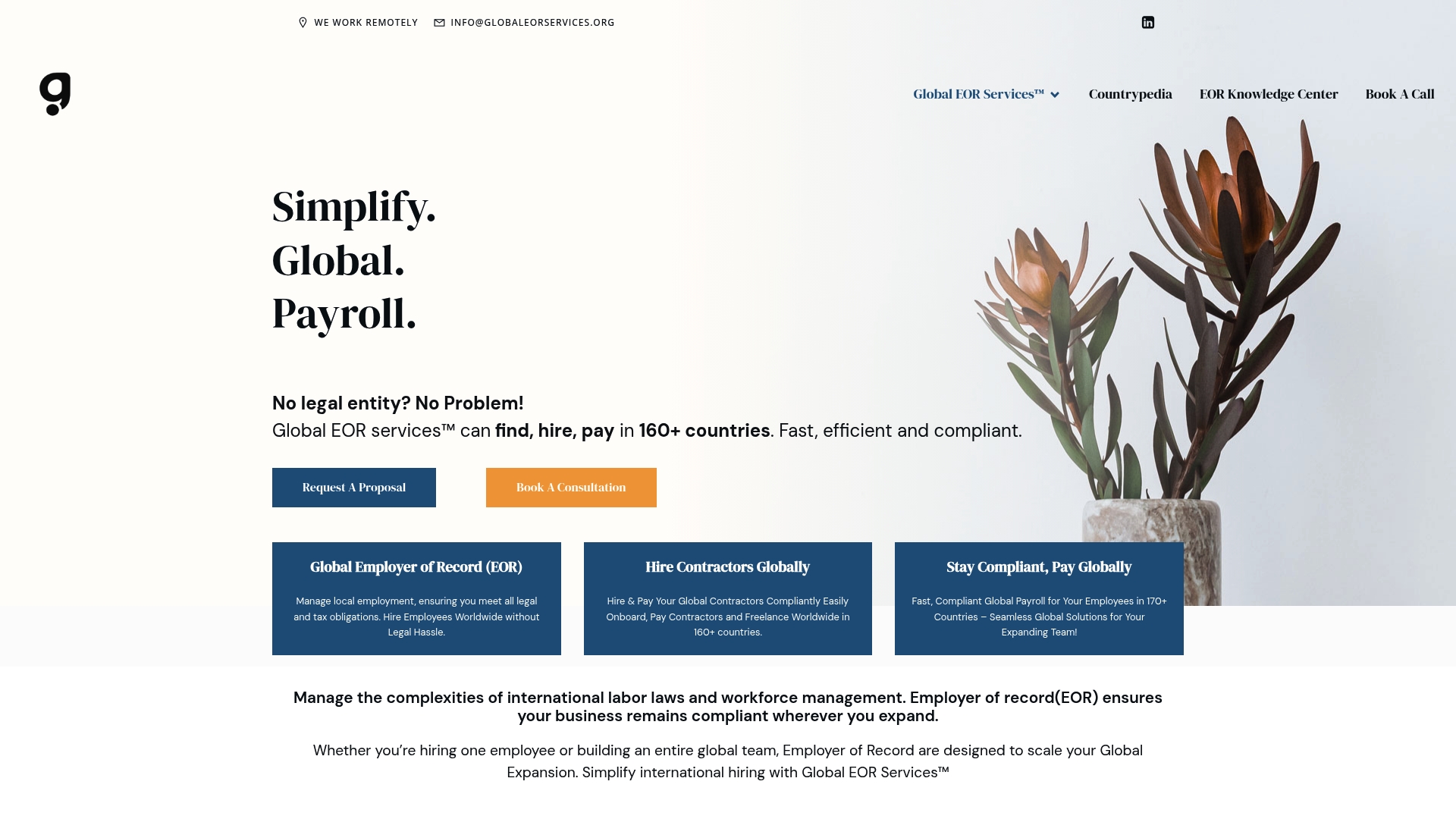 Top 6 remote.io Alternatives Agencies 2026 4 https://globaleorservices.org