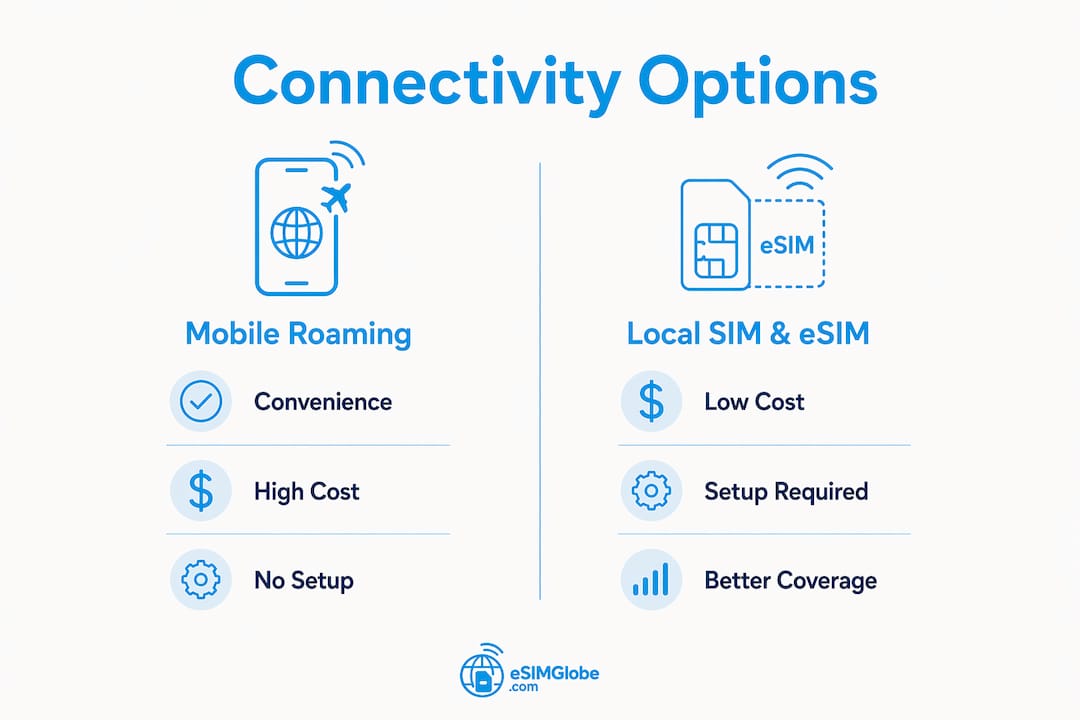 Infographic comparing mobile roaming and SIM options