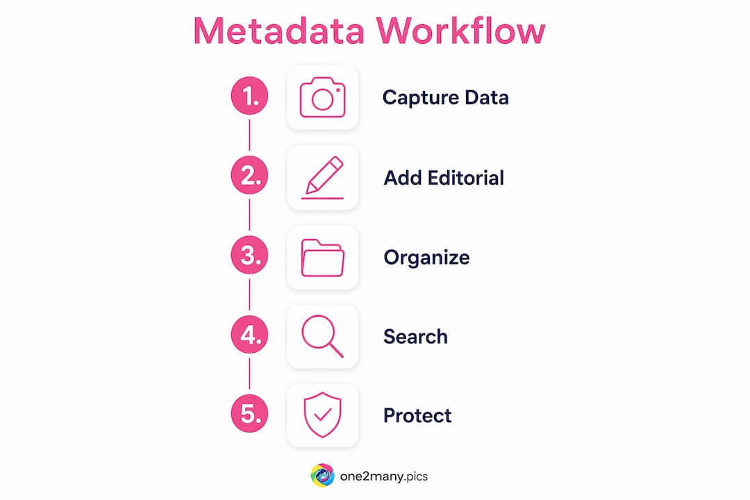 Infographic illustrating photo metadata workflow steps