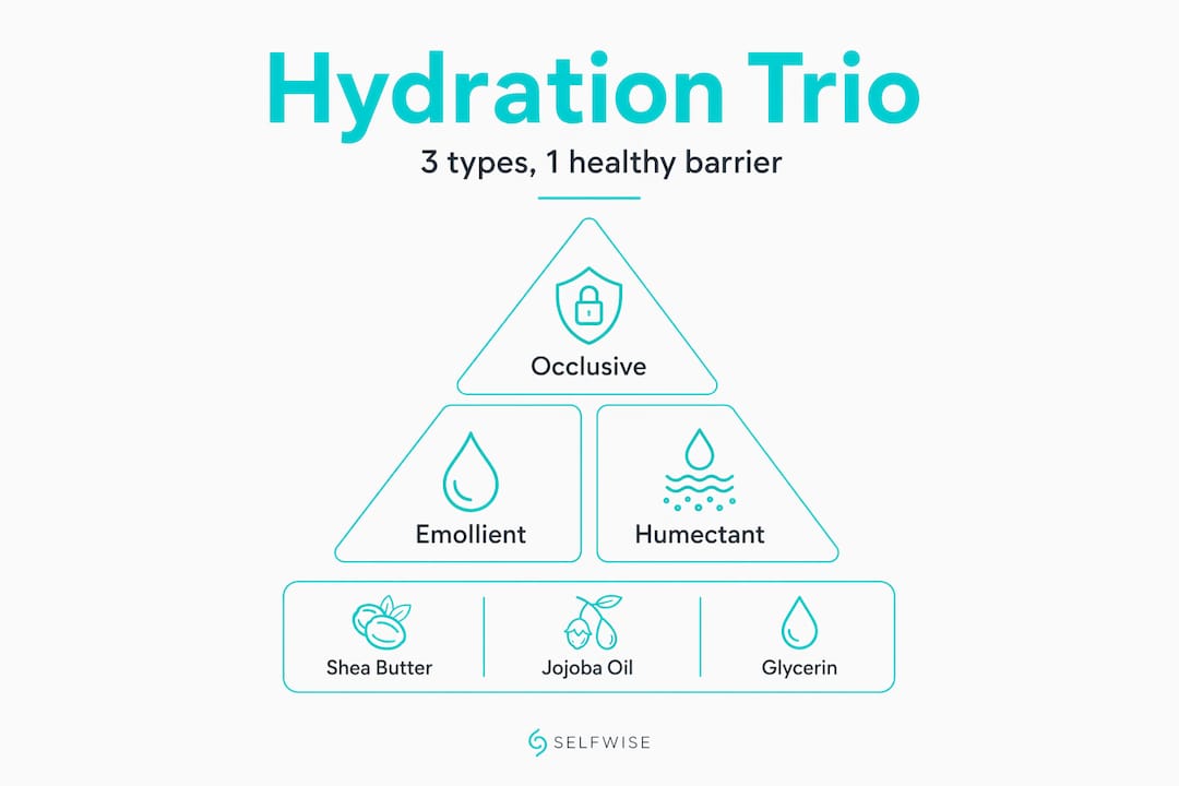 Infographic shows types of natural moisturizing ingredients