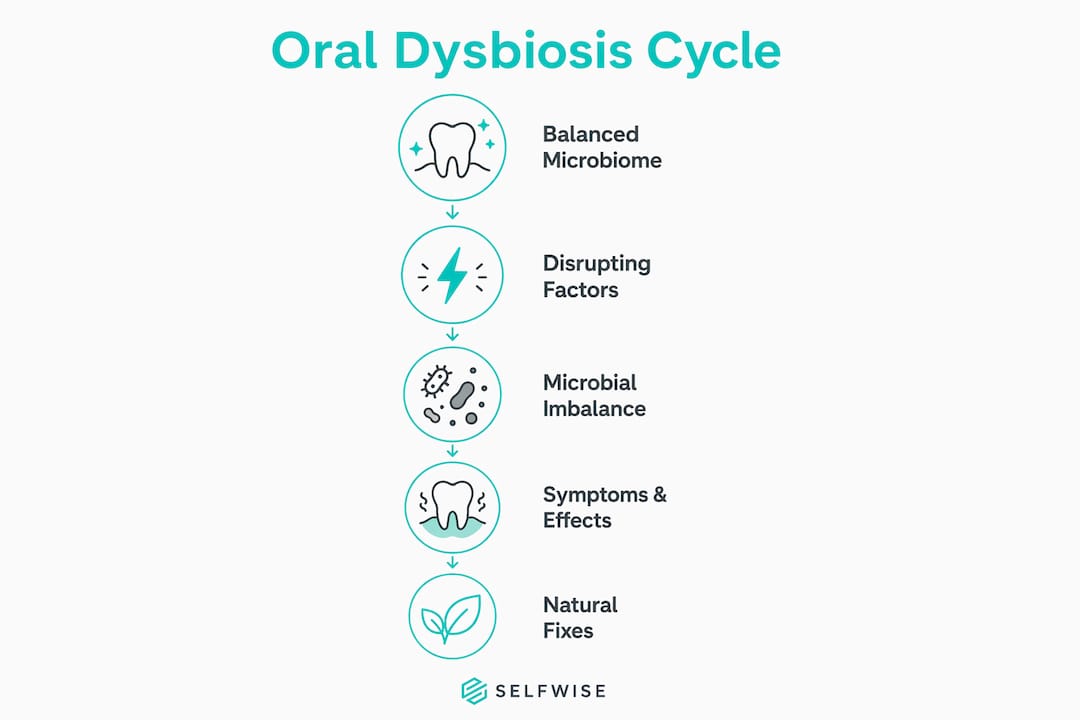Infographic showing oral dysbiosis cycle steps