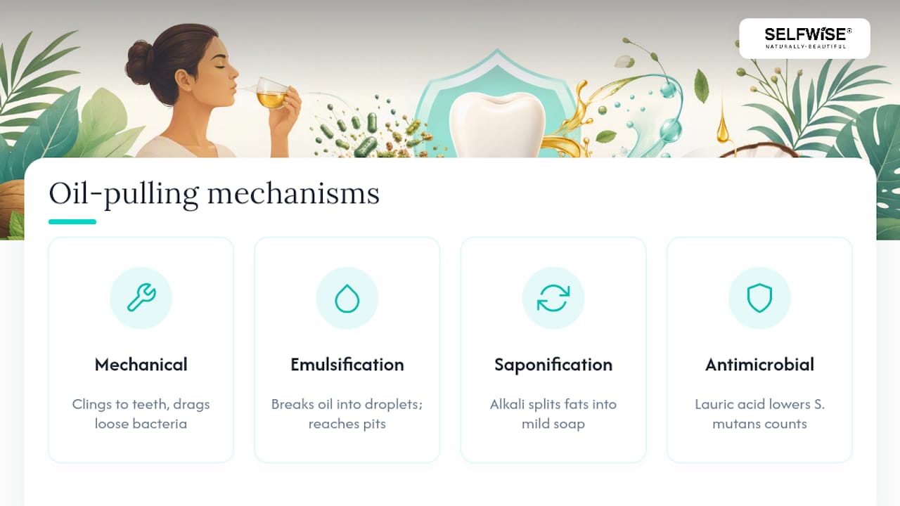 Diagram of how oil pulling breaks down plaque