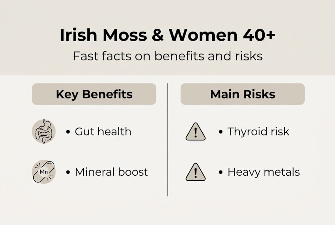 Infographic showing Irish moss benefits and risks