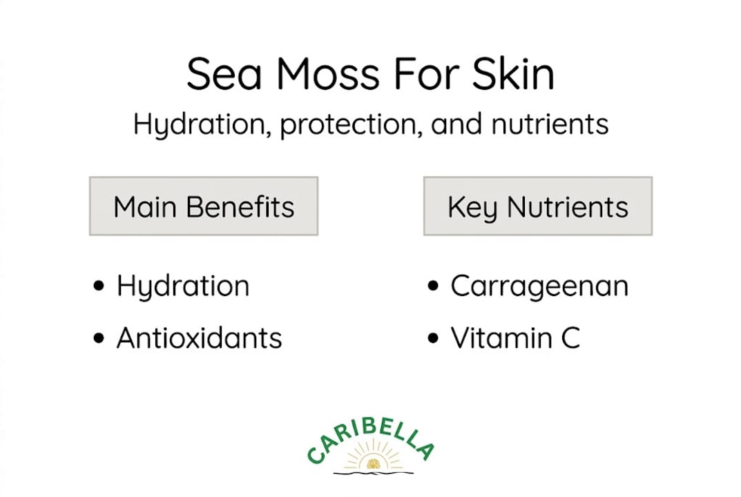 Infographic summarizing sea moss skin benefits