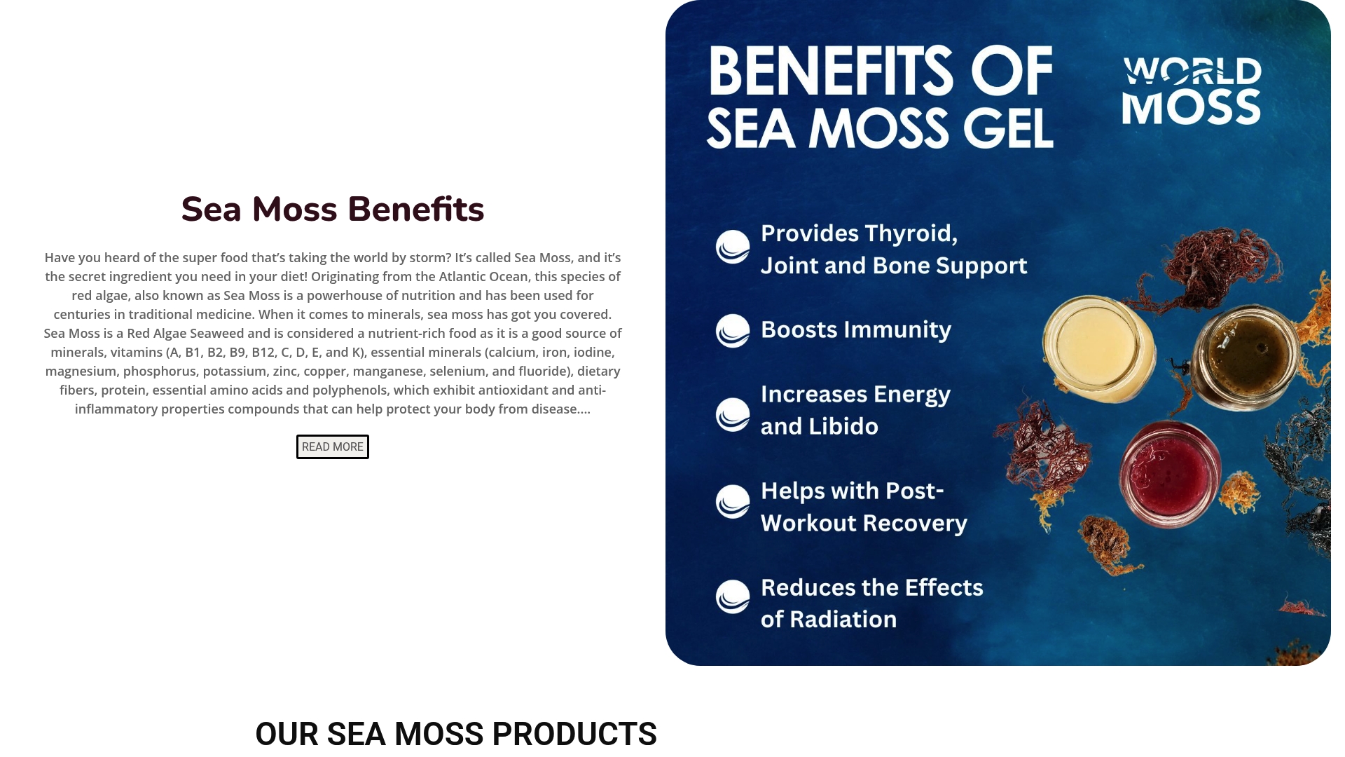 https://worldmoss.com