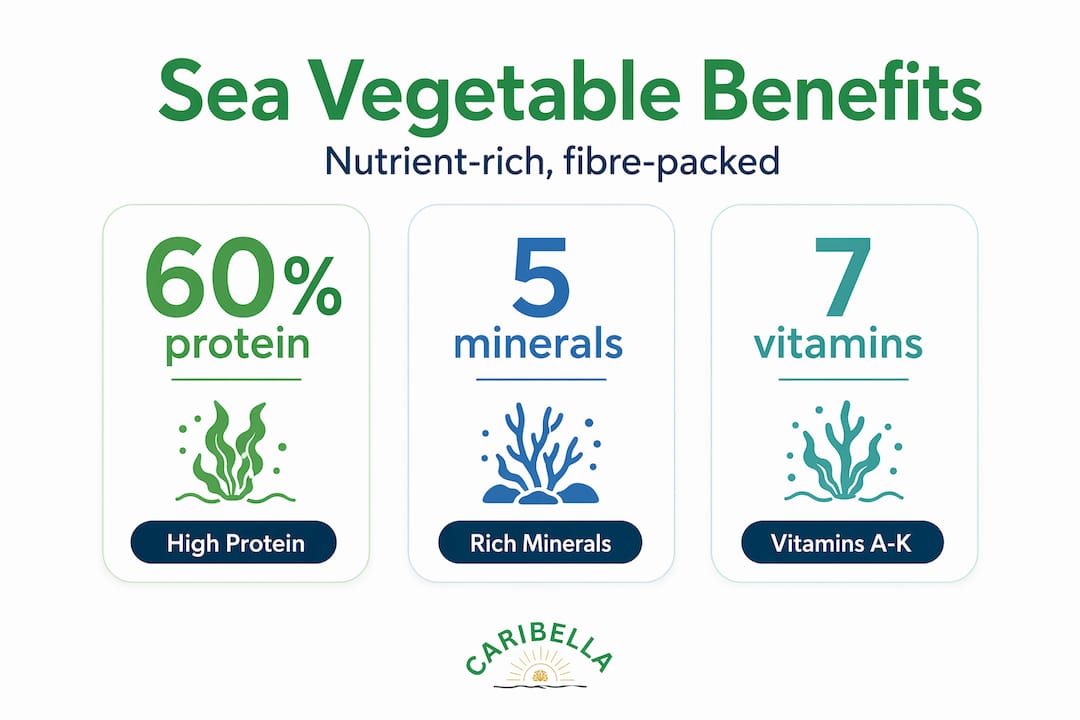 Infographic of sea vegetable nutrition benefits