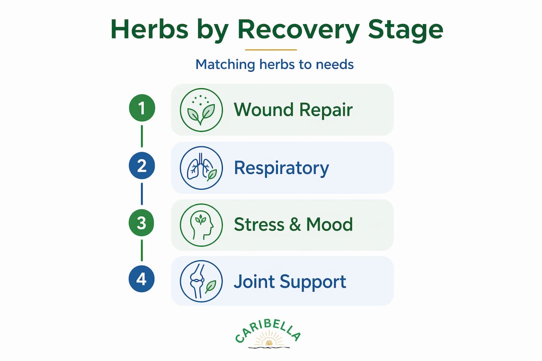 Vertical flow infographic of herbs for recovery stages