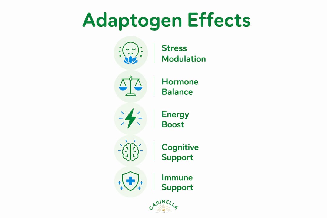 Infographic showing adaptogen effects with key benefits