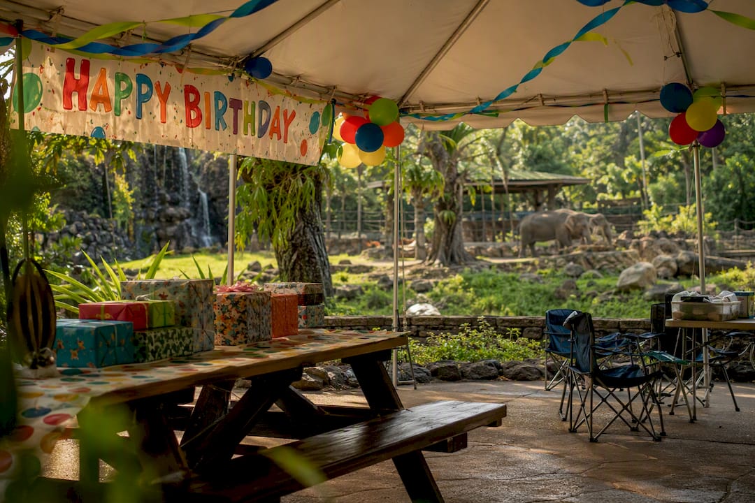 Outdoor birthday party setup in Oahu garden