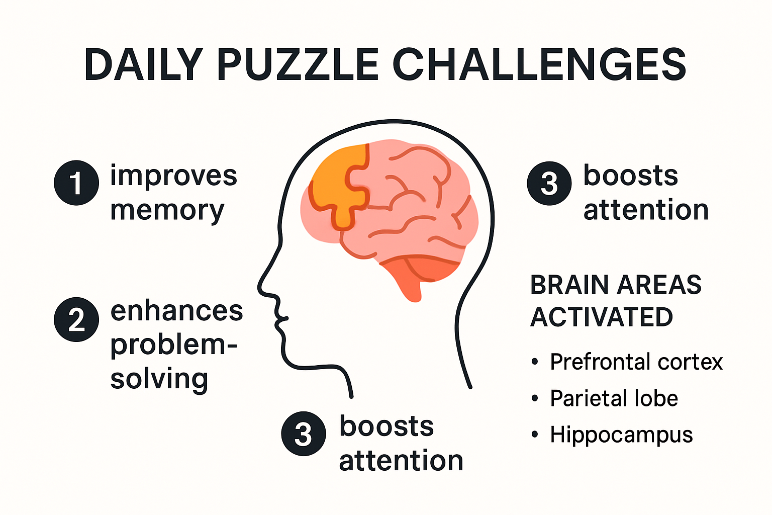 Infographic showing brain areas and benefits from daily puzzles