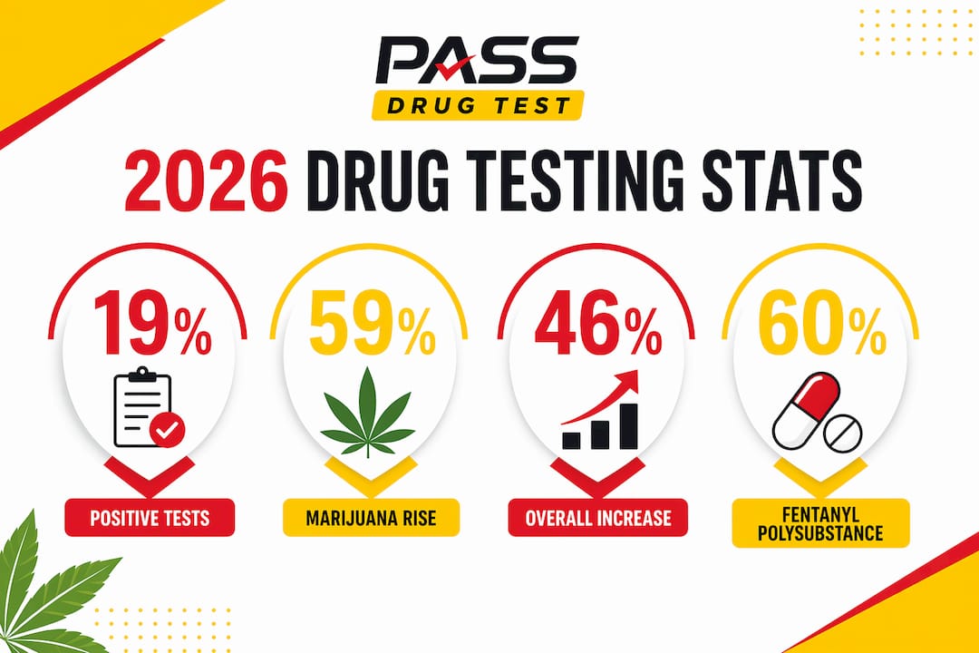 Infographic showing key 2026 drug testing statistics