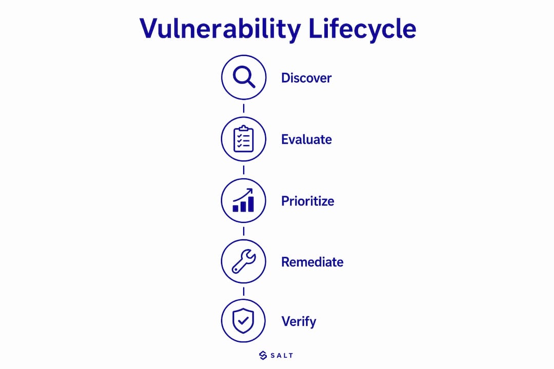 Infographic showing vulnerability management lifecycle steps
