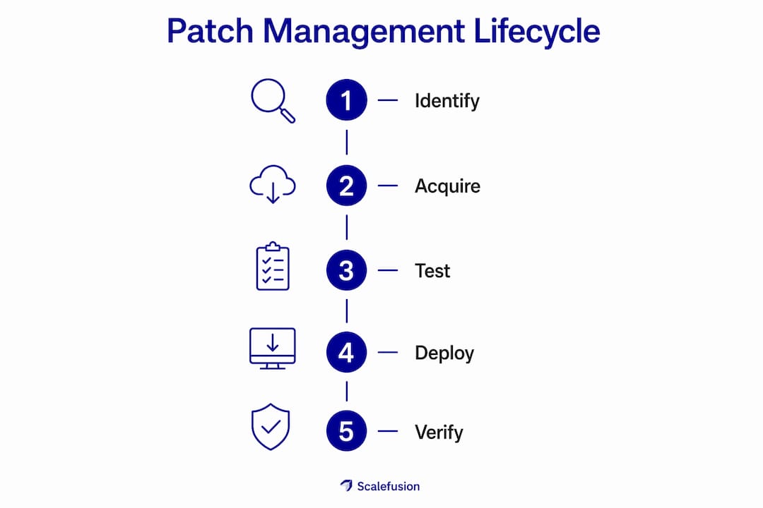 Infographic illustrating patch management lifecycle steps