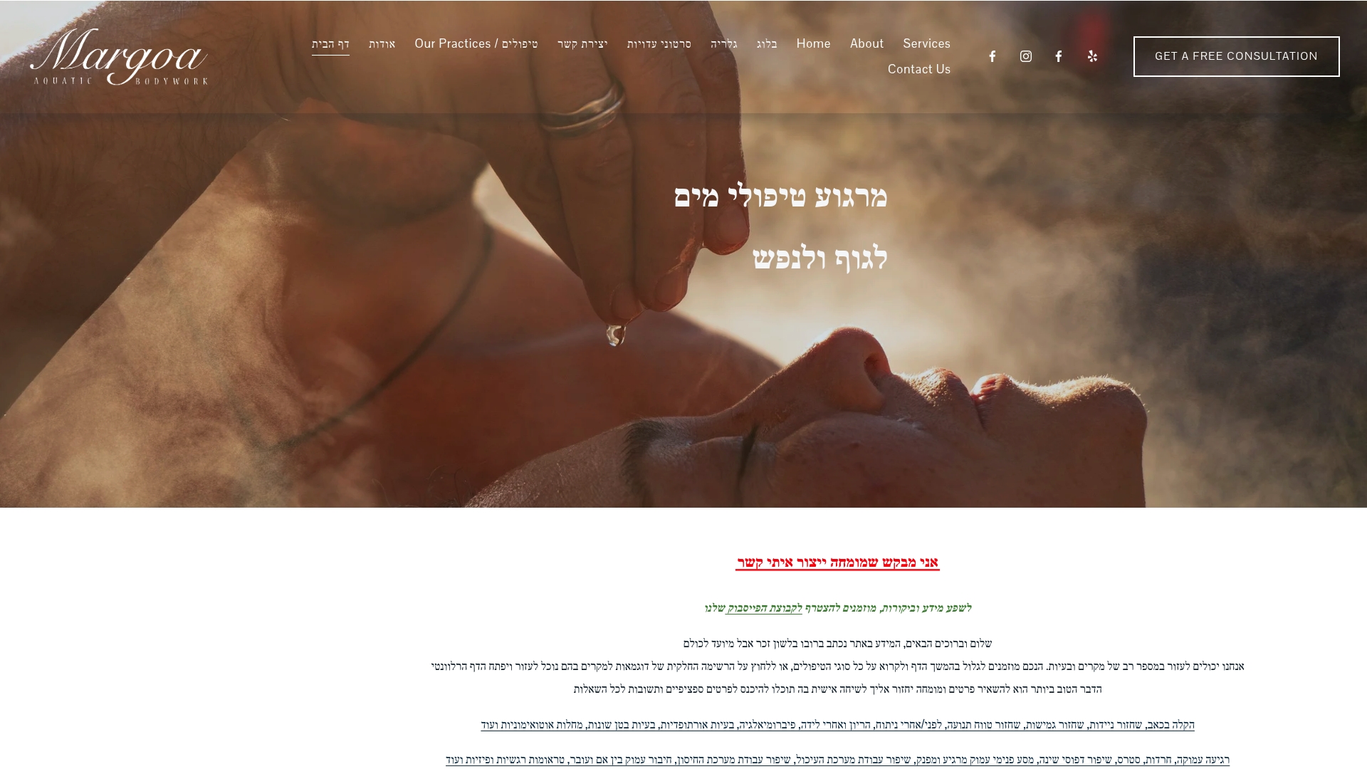 https://margoalv.com