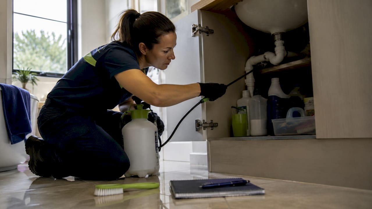 Technician applying pest treatment under kitchen sink