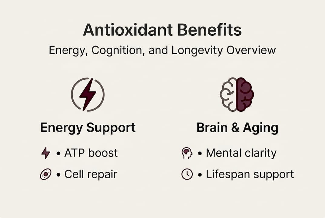 Infographic with antioxidant impact on energy and brain