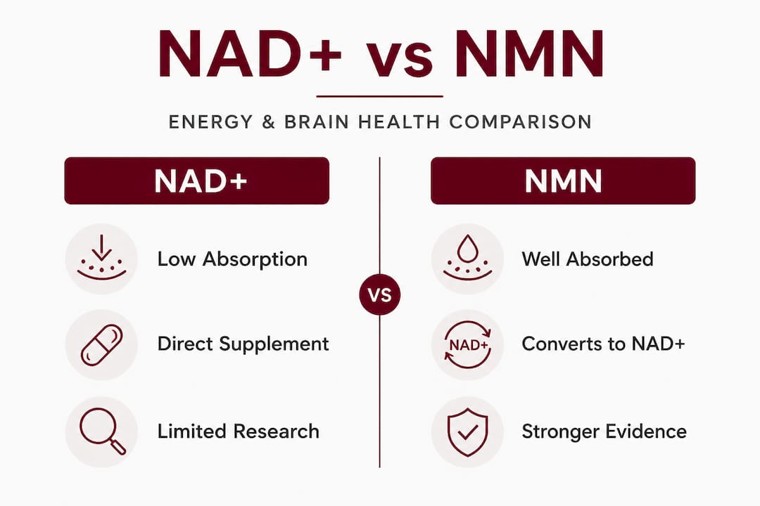 Infographic comparing NAD plus and NMN supplements