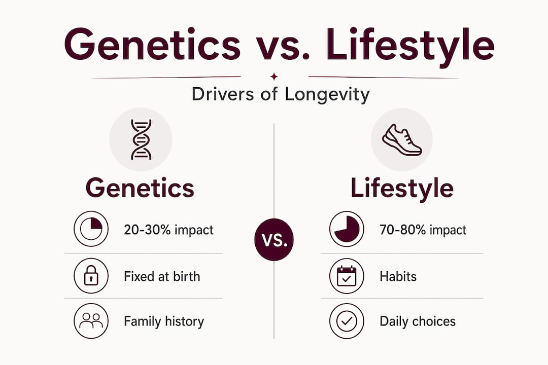 Infographic comparing genetics and lifestyle for longevity