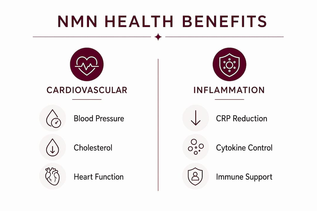 Infographic comparing cardiovascular and inflammation benefits of NMN
