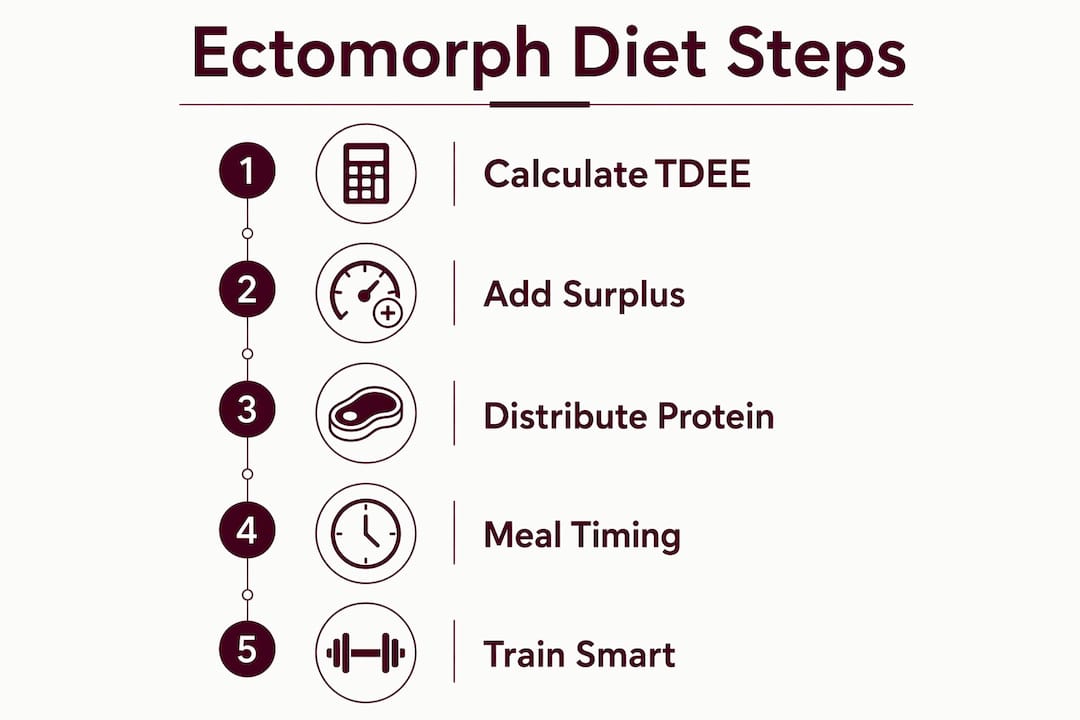 Infographic: step-by-step ectomorph diet guidance