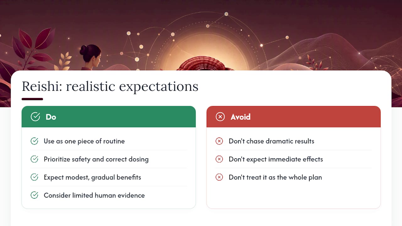 What Reishi Can Realistically Do for You — overview diagram