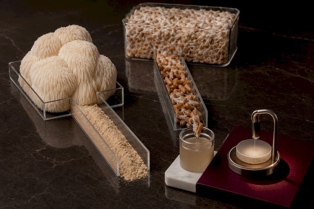 Comparison of mushroom material and grain substrate