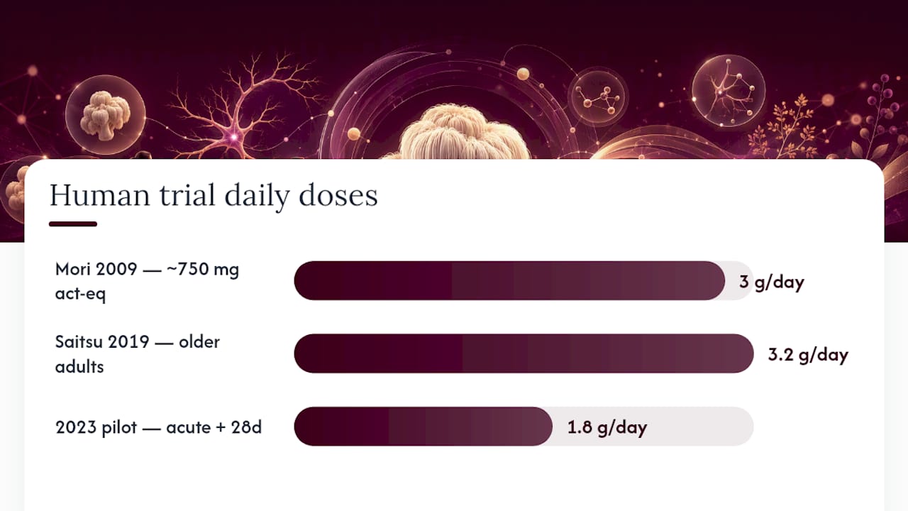 Comparison of lion’s mane trial doses