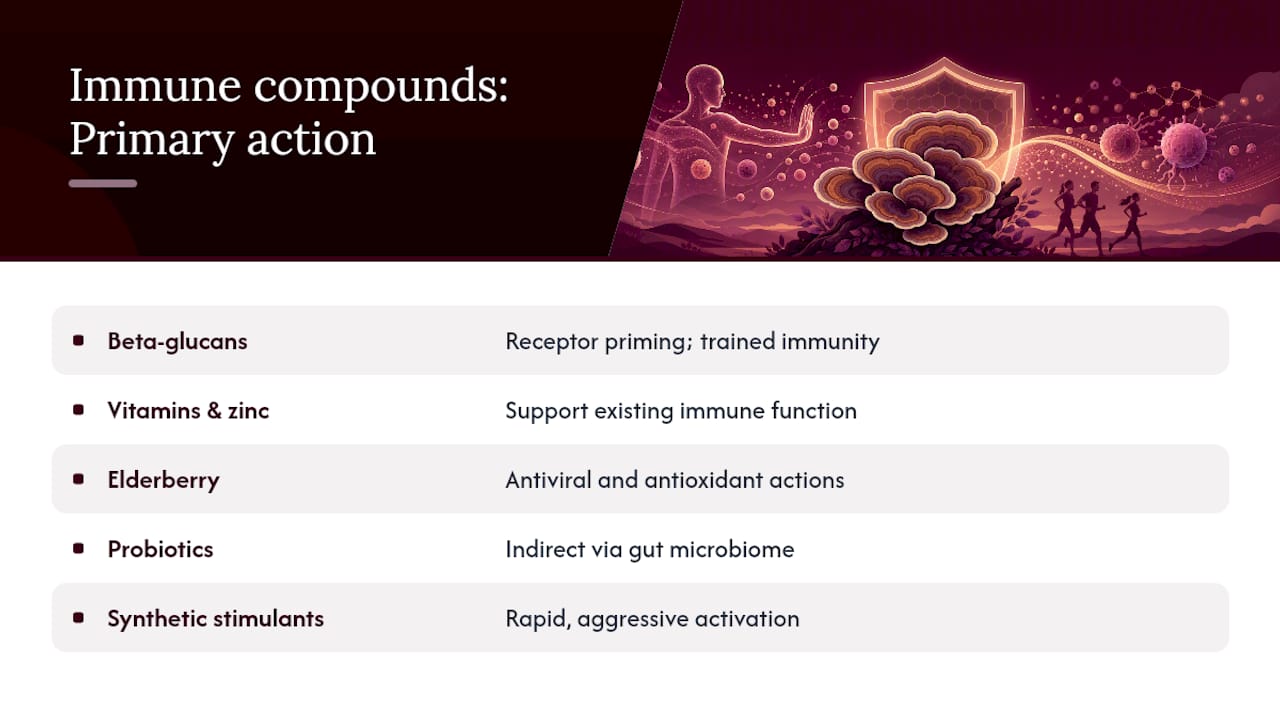 Beta-Glucans vs. Other Immune Compounds — overview diagram