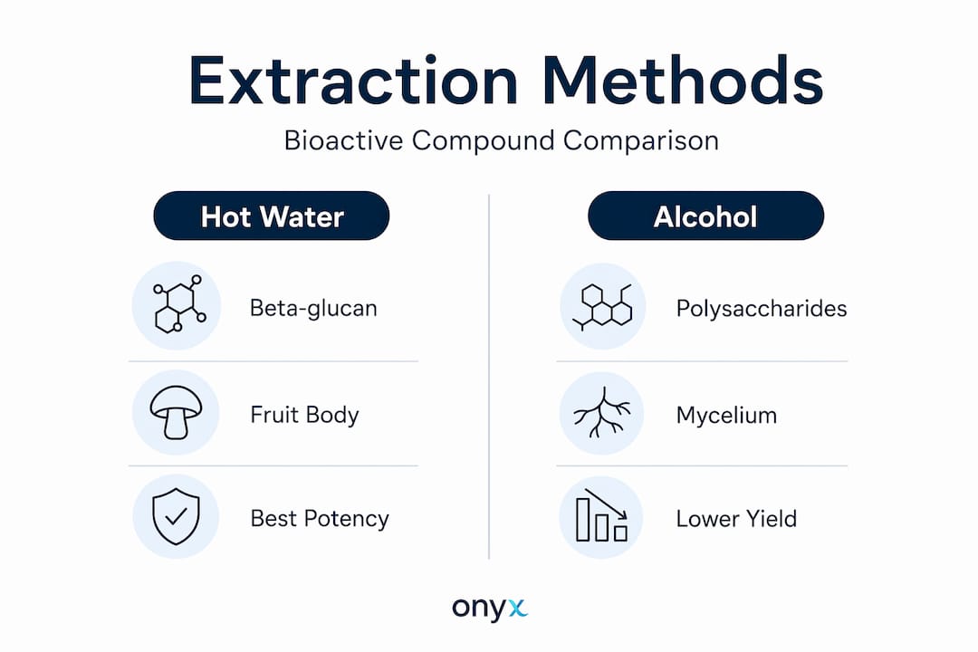 Infographic comparing mushroom extraction methods