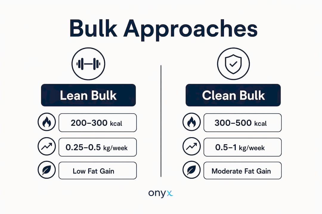 Infographic comparing lean and clean bulk approaches