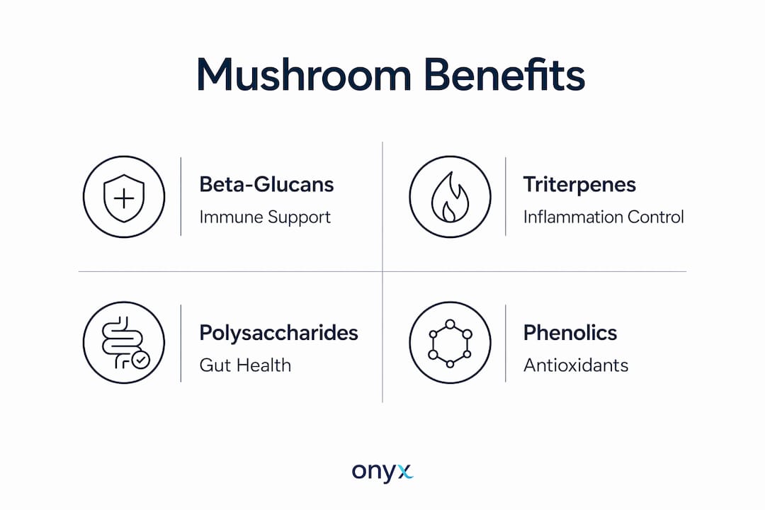 Infographic highlighting bioactive compounds in functional mushrooms