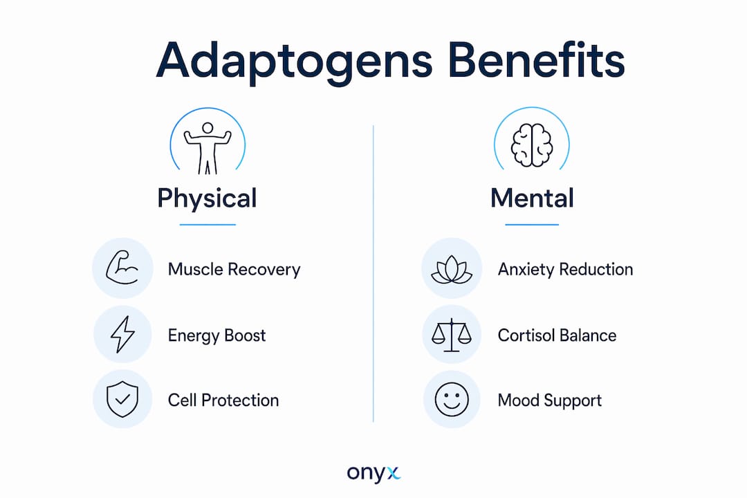 Infographic comparing physical and mental adaptogen benefits