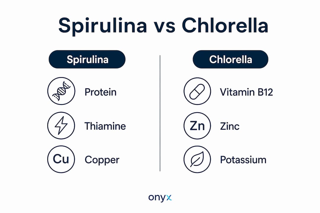 Infographic comparing nutrients in spirulina and chlorella