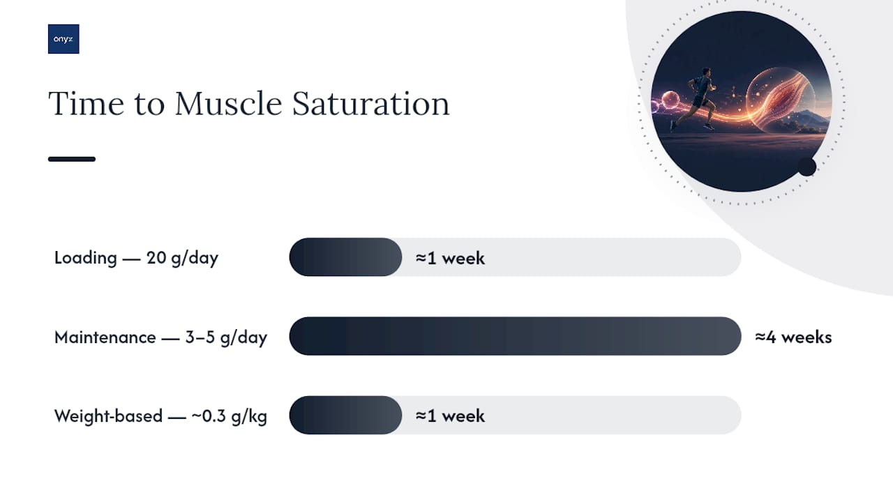 Diagram comparing creatine dosing protocols