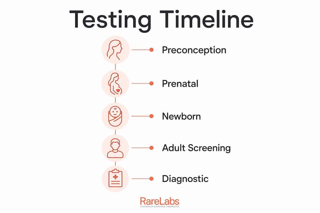 Infographic illustrating genetic testing stages timeline