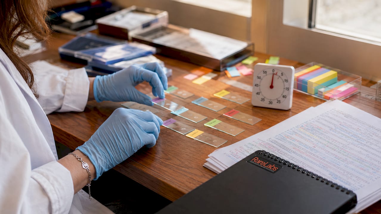 Hands arranging microscope slides on lightbox