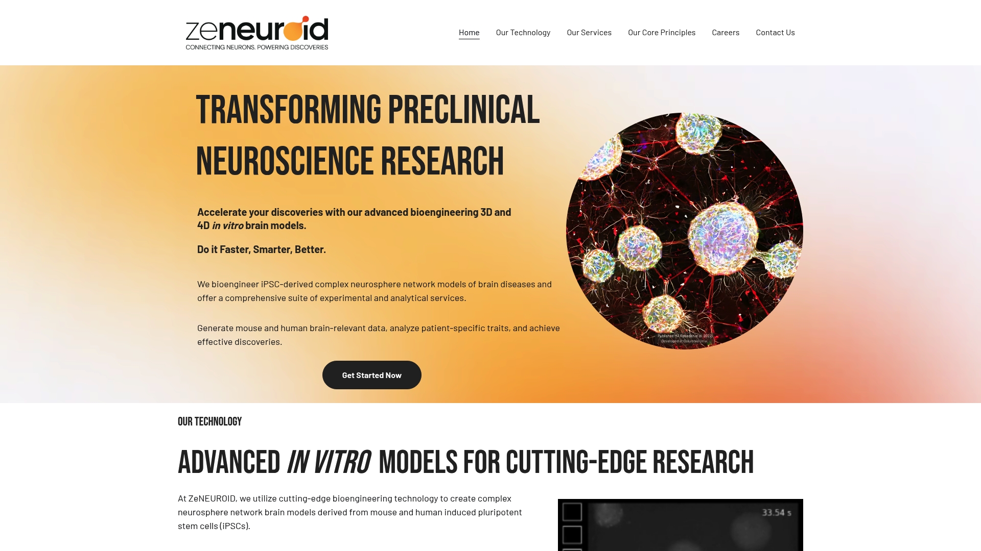 https://zeneuroid.com