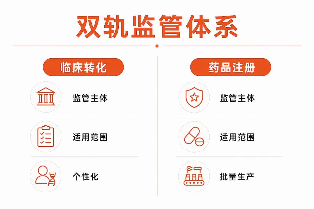 对比临床转化和药品注册两条路径,深入剖析其各自的流程与特点