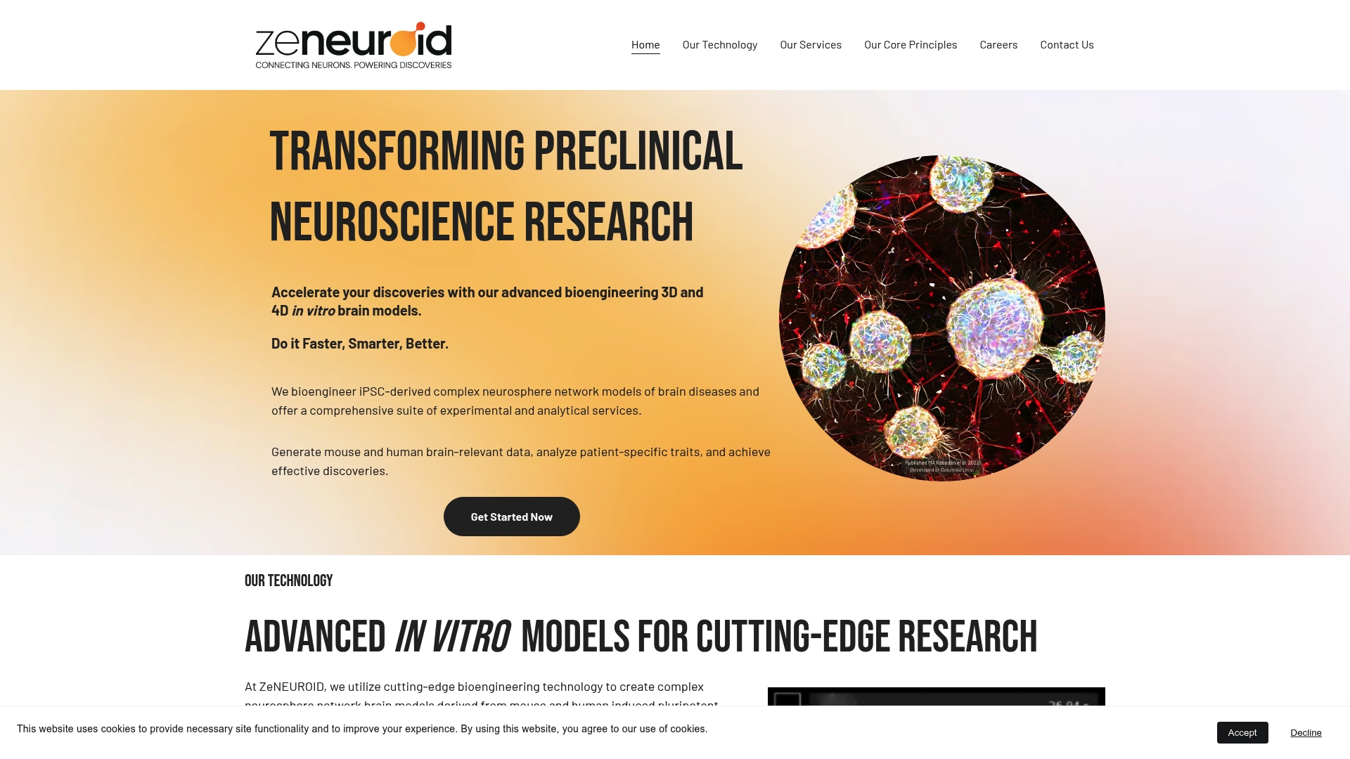 https://zeneuroid.com
