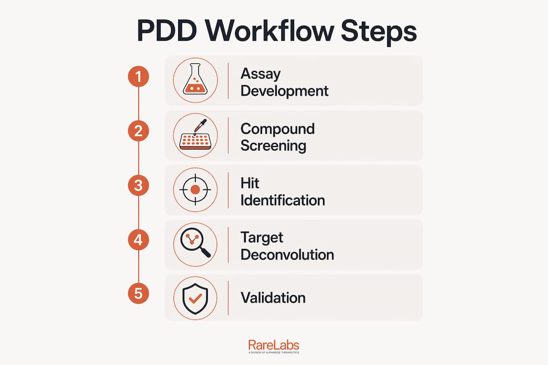 Infographic illustrating steps in phenotype driven drug discovery