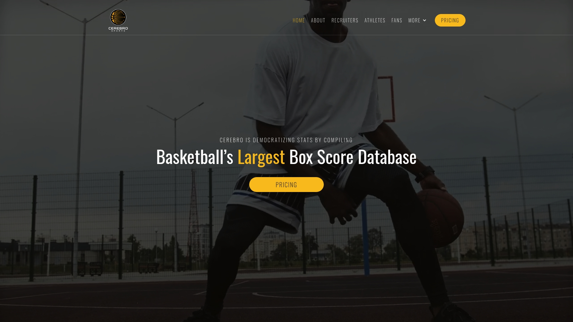 https://cerebrosports.com