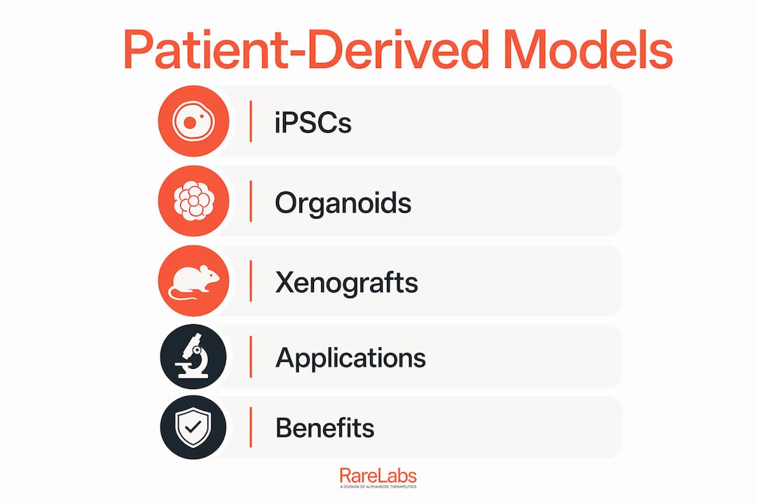 Infographic outlining main patient-derived cell model types