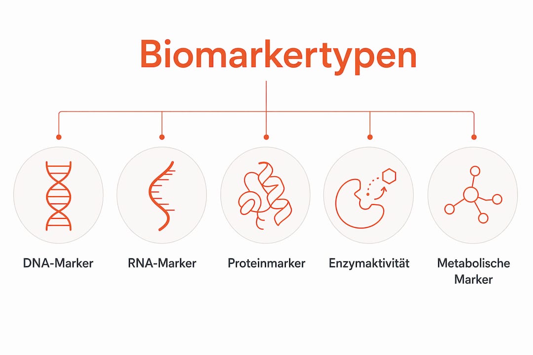 Übersicht: Verschiedene Biomarker bei seltenen Erkrankungen auf einen Blick