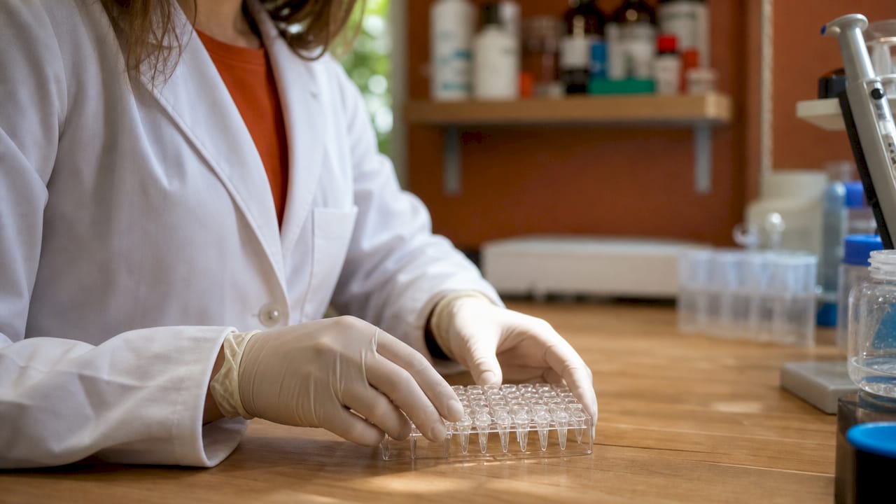 Préparation d’échantillons pour des analyses protéomiques, réalisée avec soin par des mains expertes