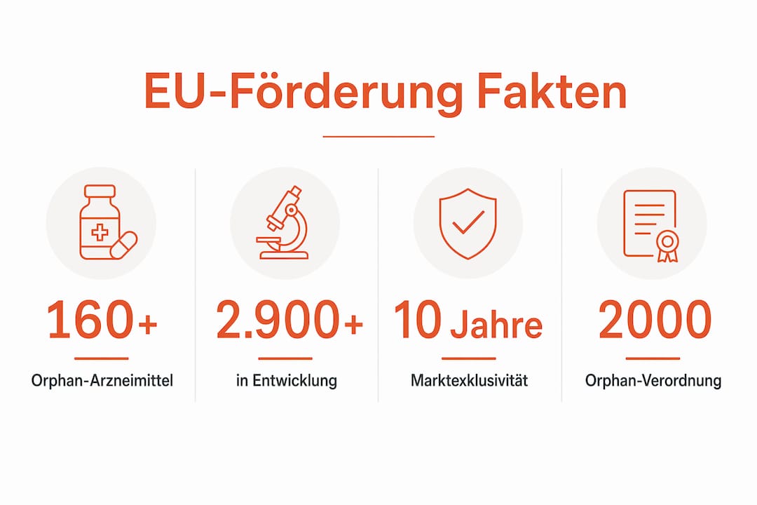 Grafik mit spannenden Fakten und Zahlen zur EU-Förderung